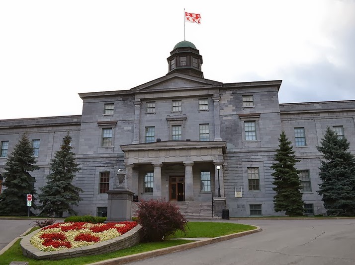 Discussion and Seminar at the McGill University