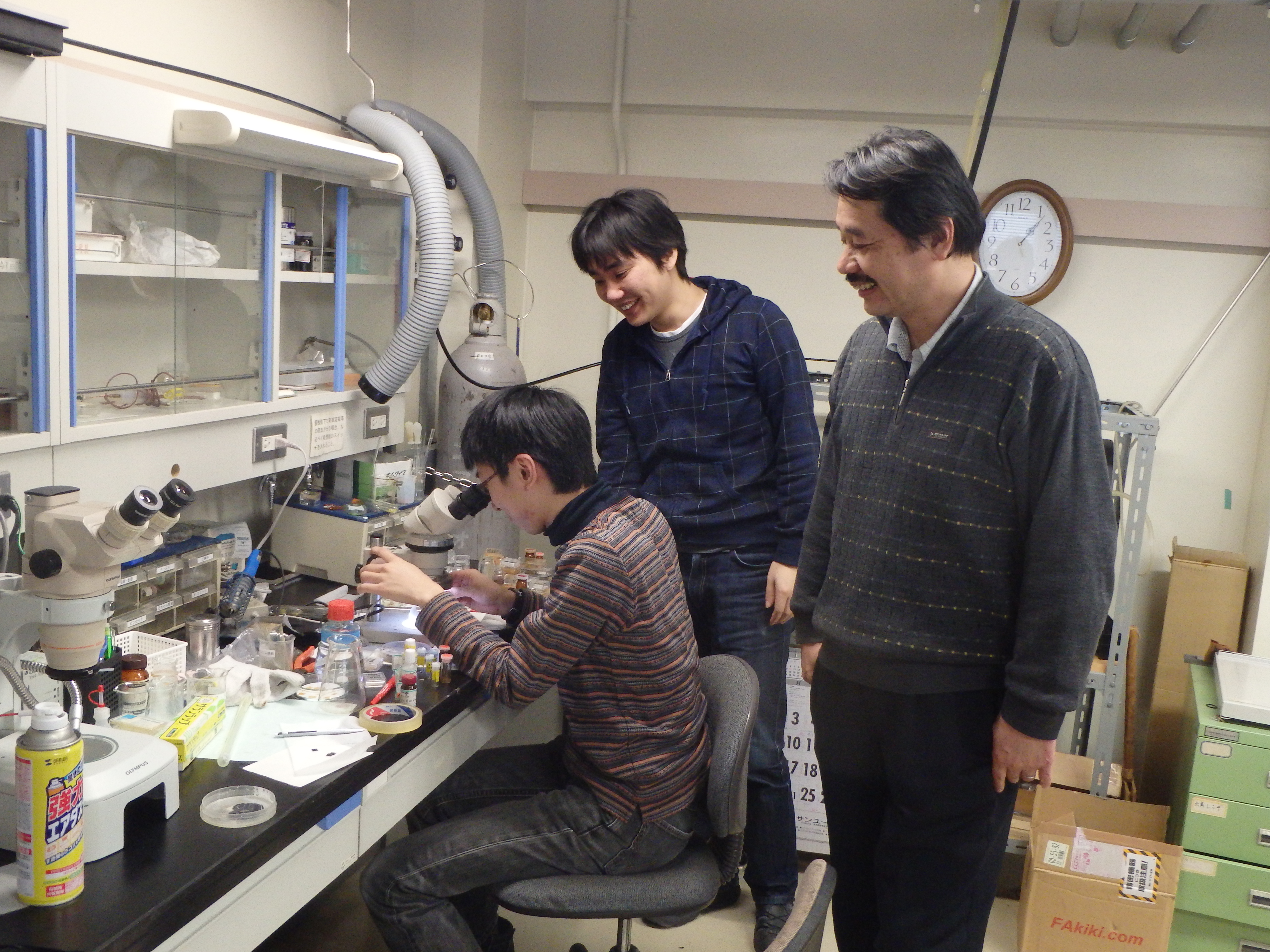 Research Collaboration at Hokkaido University, Japan