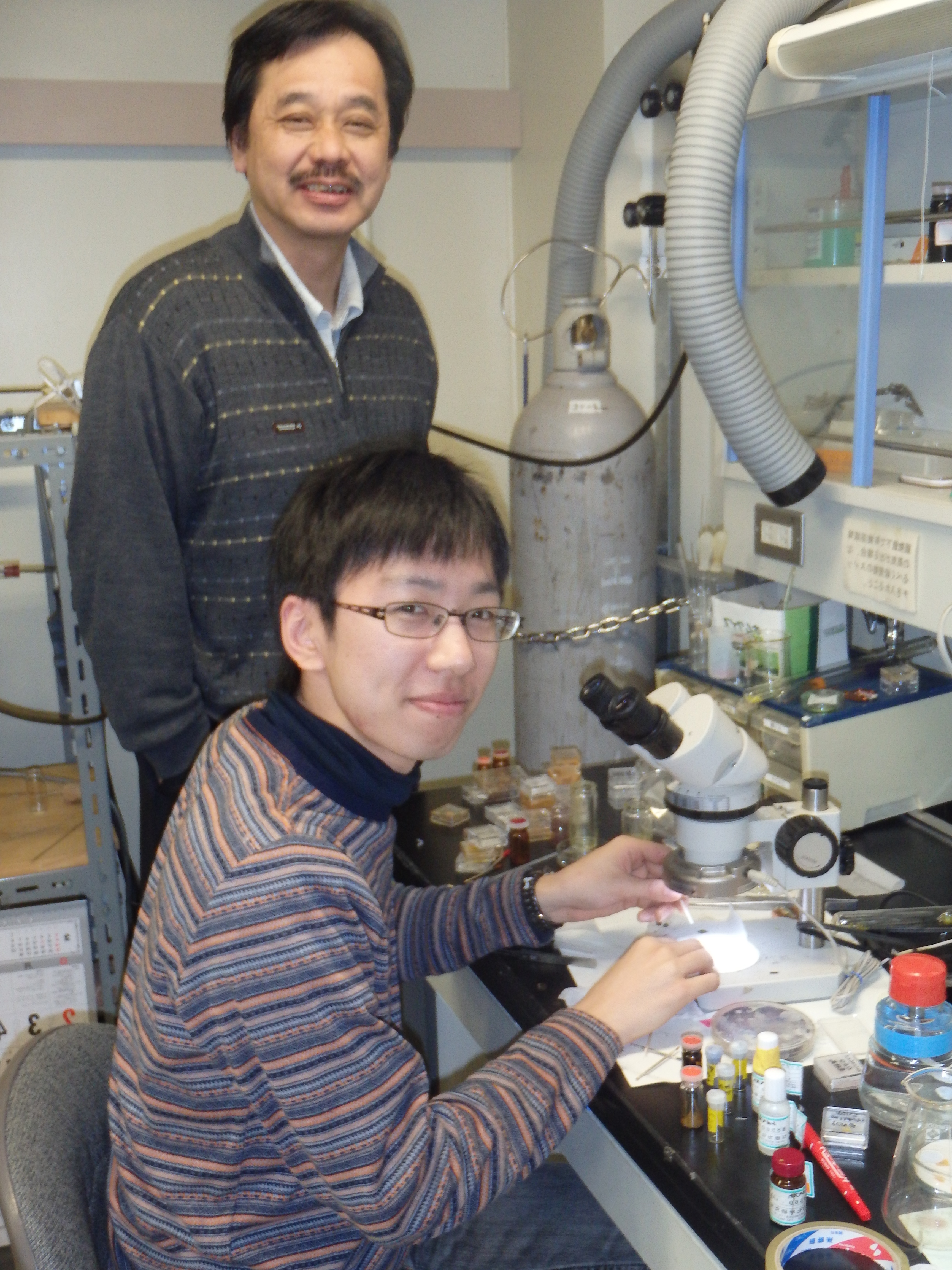 Research Collaboration at Hokkaido University, Japan