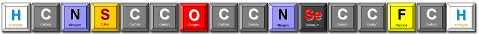 JSPS Core-to-Core Img